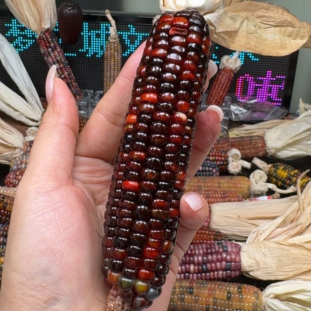 柏香籽/百香籽吊坠J****n