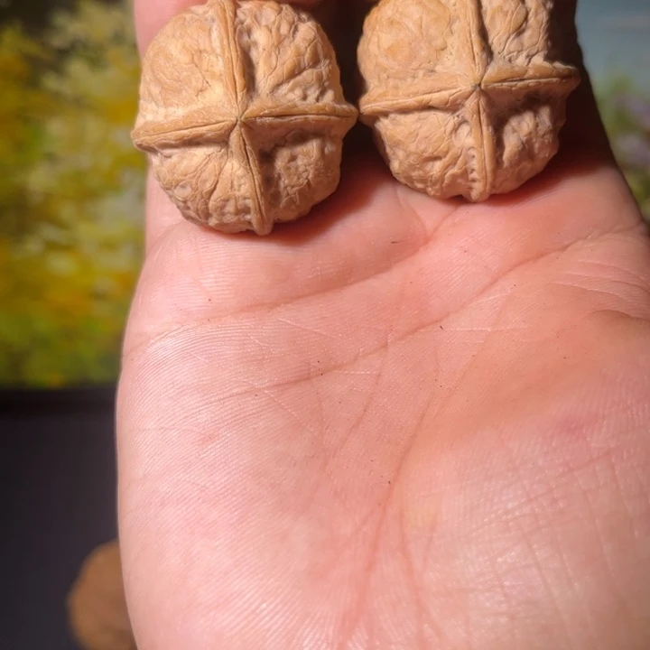 顾***兮吊坠文玩核桃滇西10