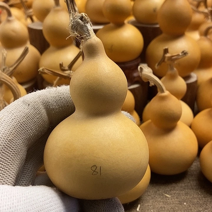 文玩葫芦 完美主义者 慎拍81