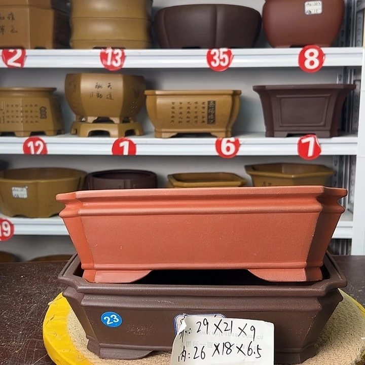 紫砂花盆你在一起