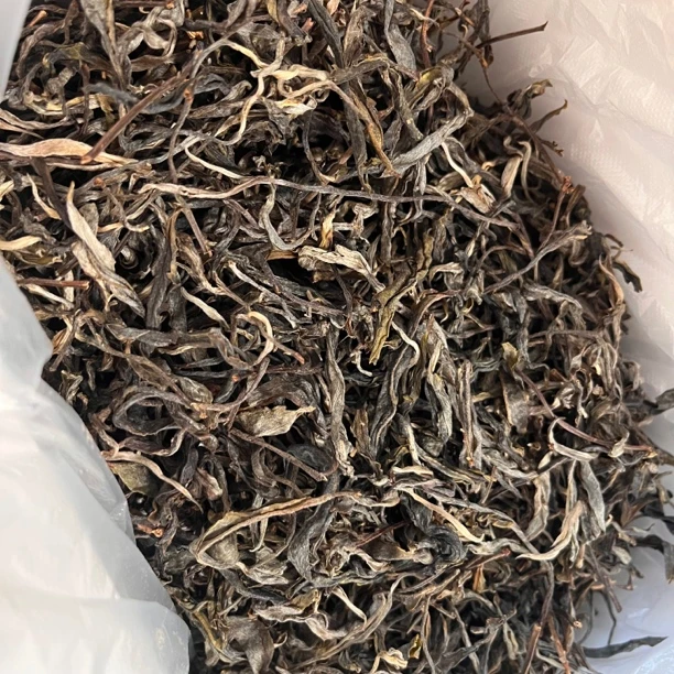 2025年春 天门山散茶普洱茶生茶250克