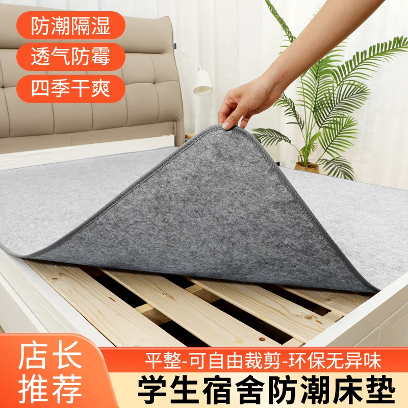 防潮垫床上用吸湿床垫学生宿舍单人床榻榻米防湿防霉褥子防潮床垫