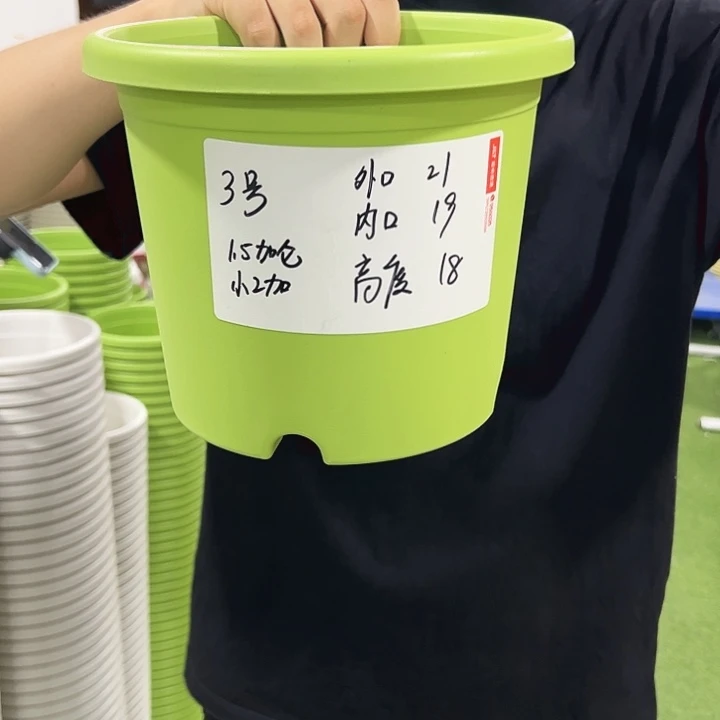 特价3号口21高18果绿色10只无托