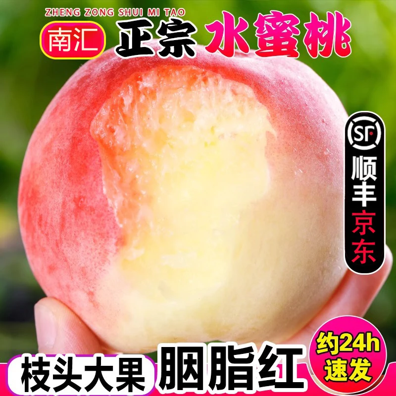 上海南汇水蜜桃现摘现发脆甜玉露水桃子新鲜水果整箱5斤顺丰京东当季新鲜水果桃子上海市