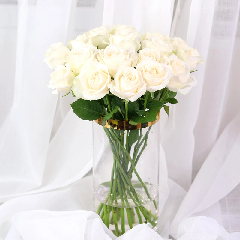 【家庭鲜花】10支白玫瑰花瓶插花鲜花店送花上门DIY鲜花混搭（不含花瓶）