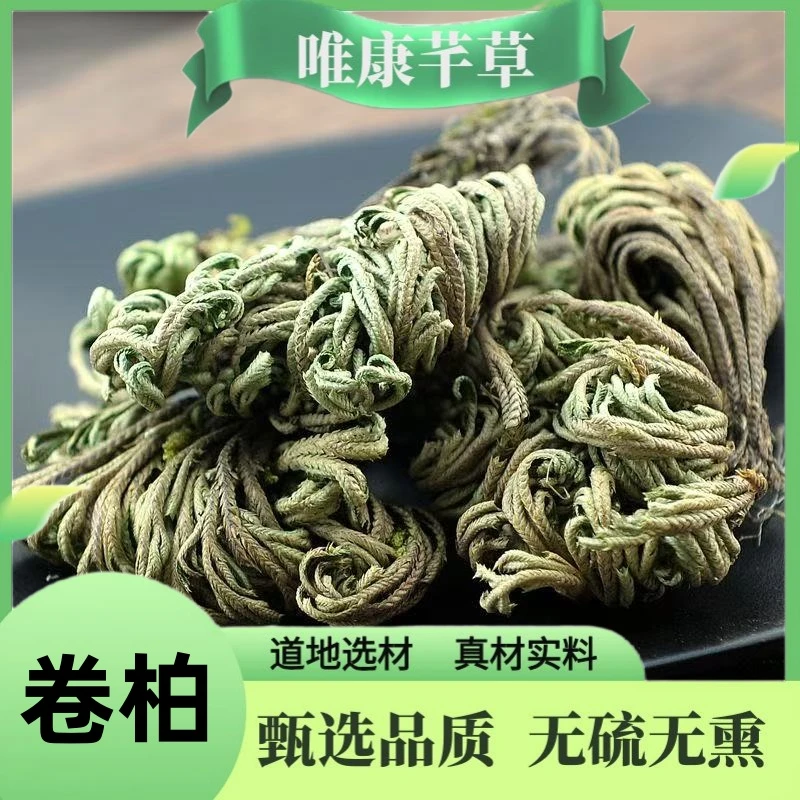 芊草【卷柏】正宗卷柏 九死还魂草 还阳草 天然野生另售鱼腥草