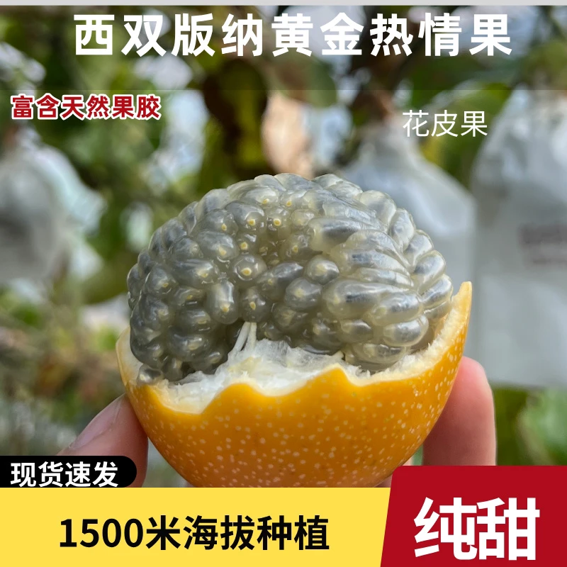 云南西双版纳热情果新鲜采摘香甜饱满热带水果孕妇适宜高山种植