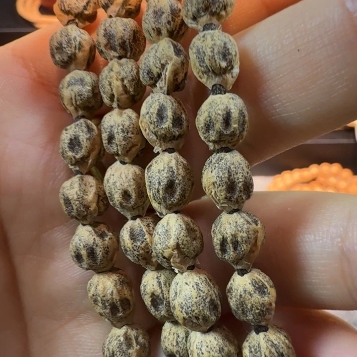 木质非金属满鬼尸陀林