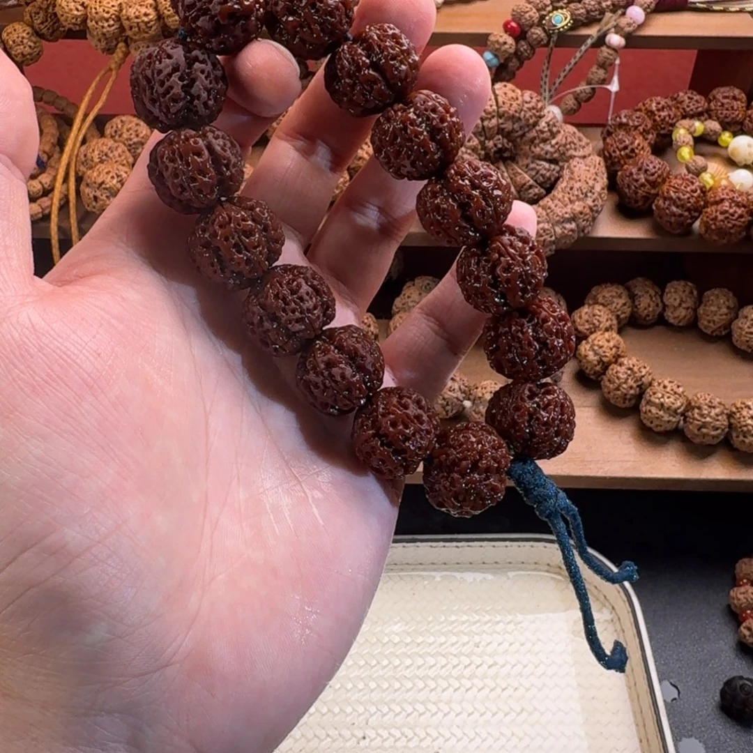 吊坠金刚菩提一代母树20全品
