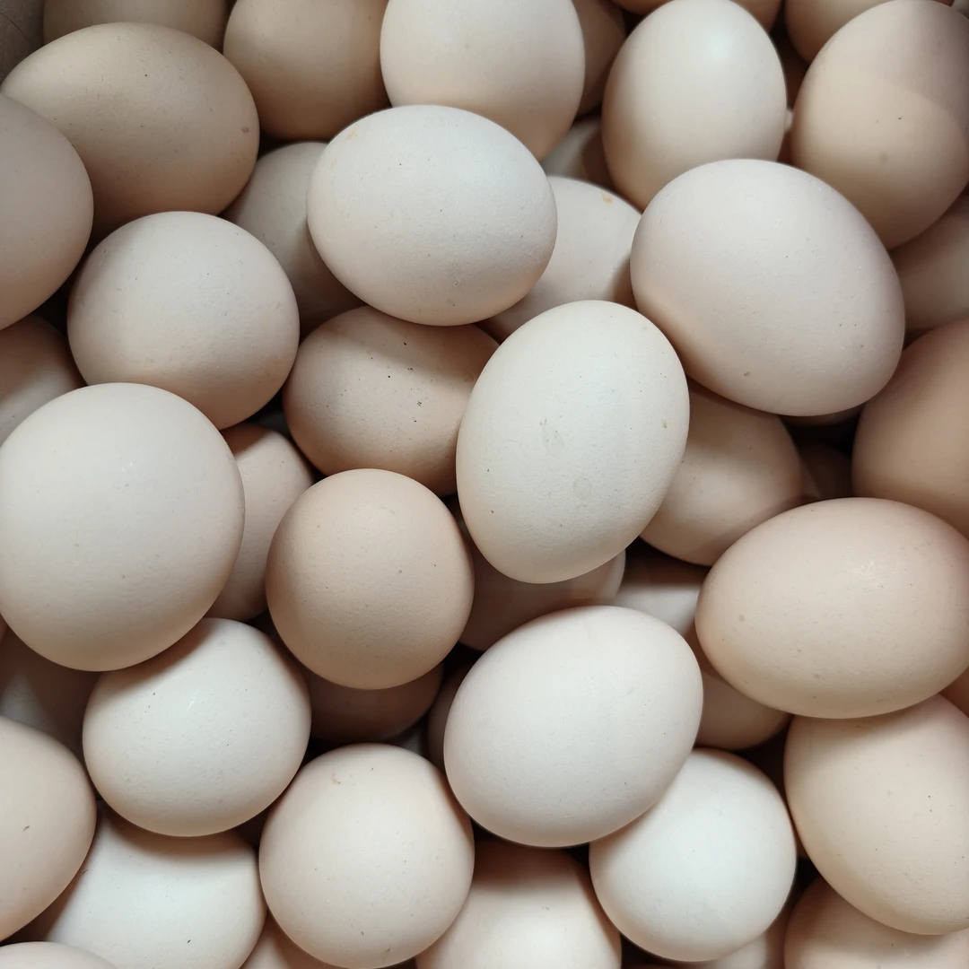 土鸡蛋30个38.8元