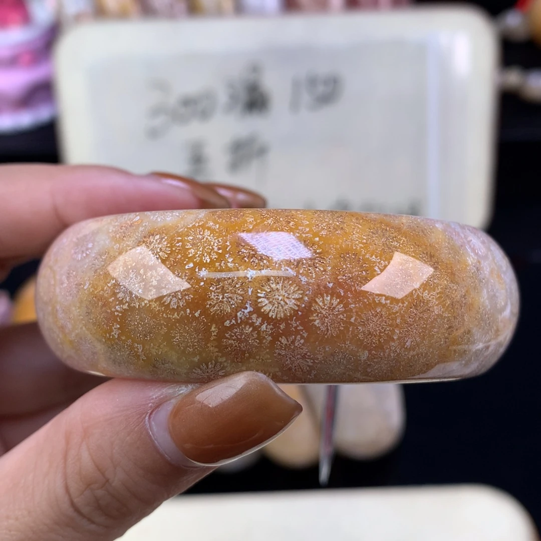 硅化珊瑚（珊瑚玉）未镶嵌颈饰晚场漏价五折55.6口（68号）