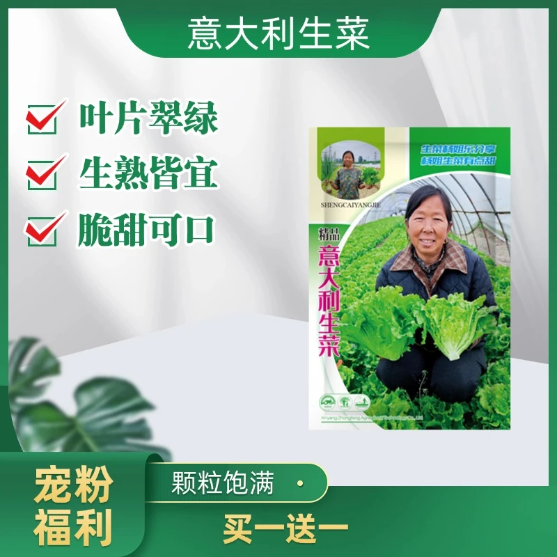 【宠粉福利】5g买一送一精品饱满意大利生菜种子育苗整齐