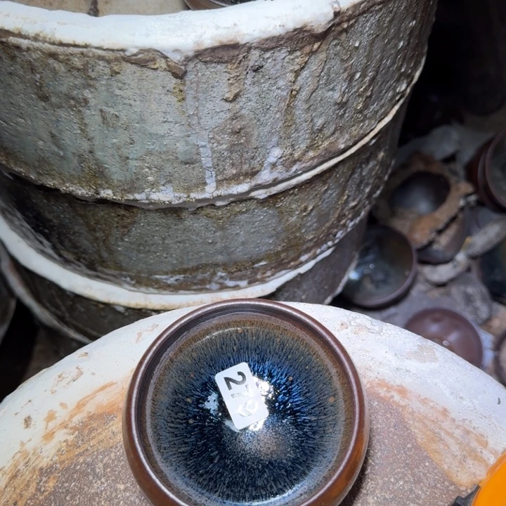 茶盏提出解决农村留守学生入学