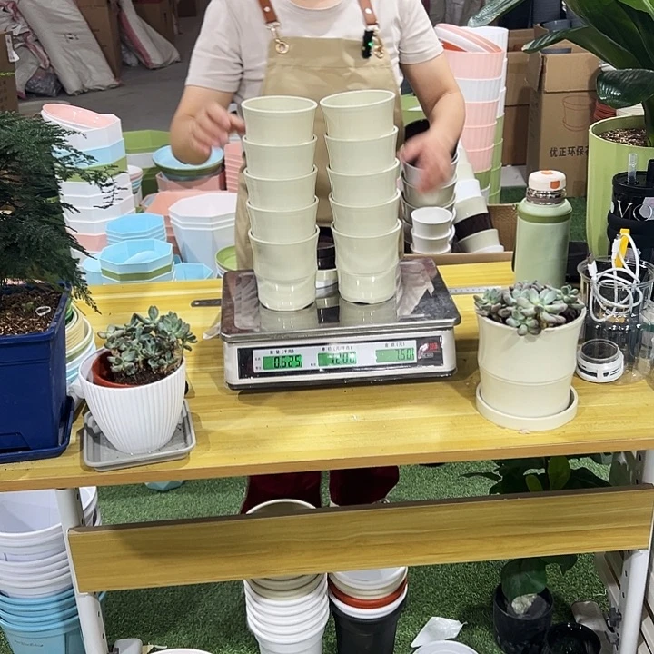 竹节口10高10米色带托10只