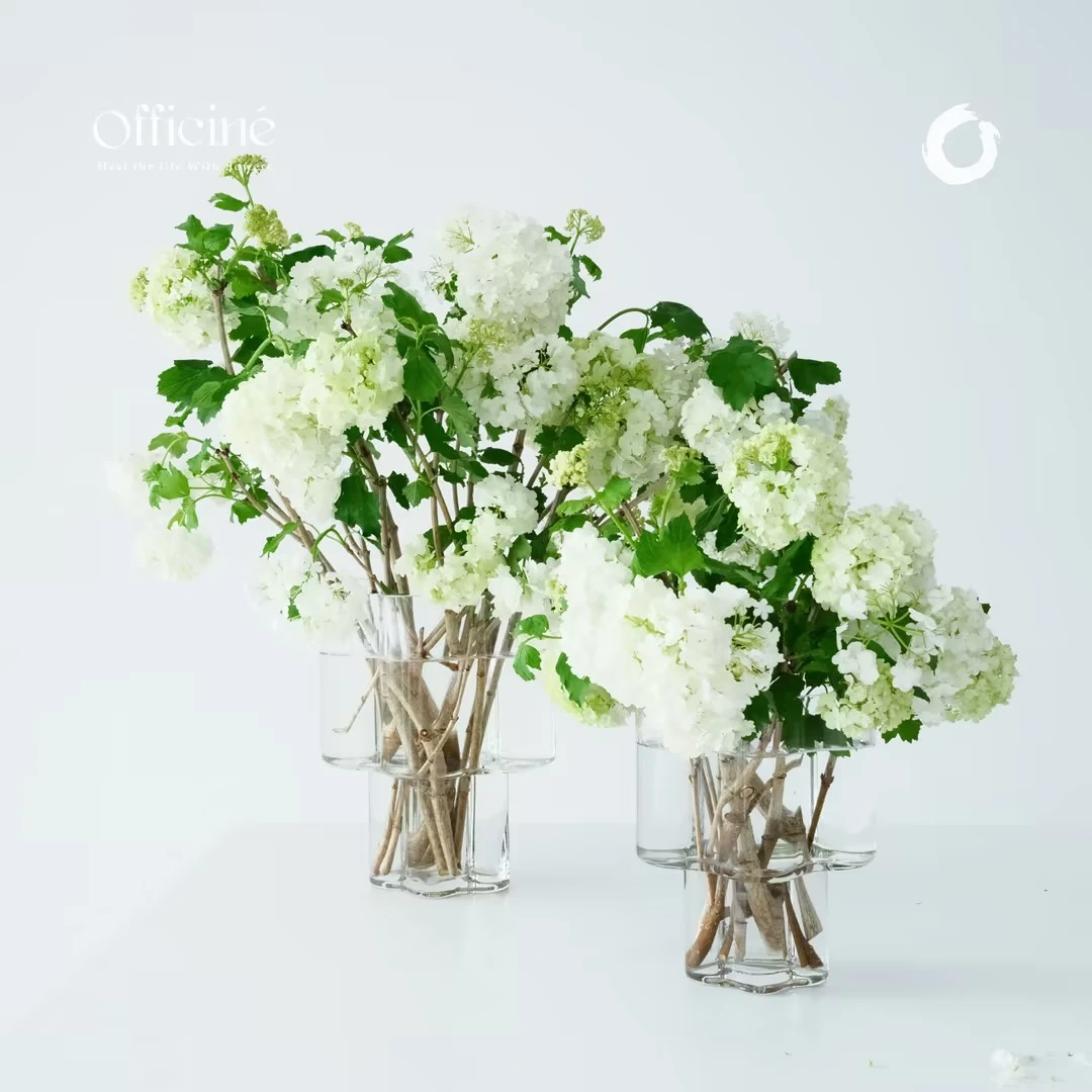 木绣球  Officine美好花市基地直采鲜花云南直发顺丰空运
