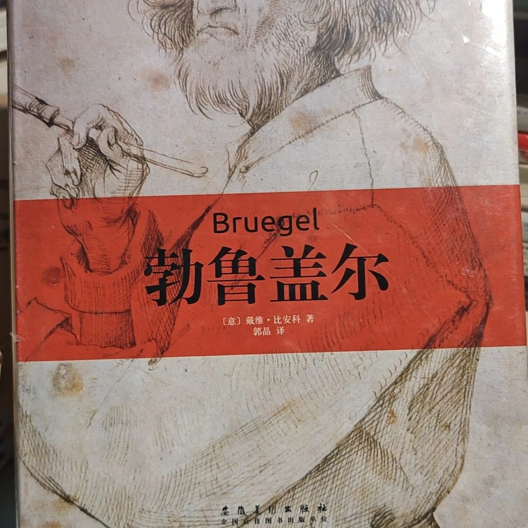勃论盖尔精装库存书