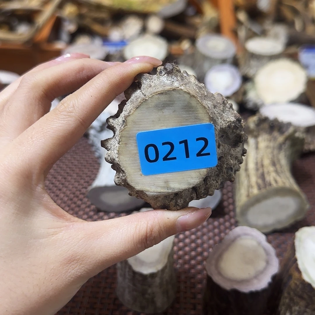 鹿骨手串/手链角帽0212