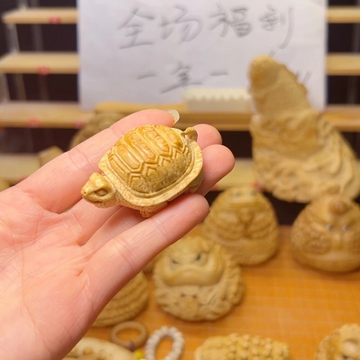 竹类小乌龟不退换233