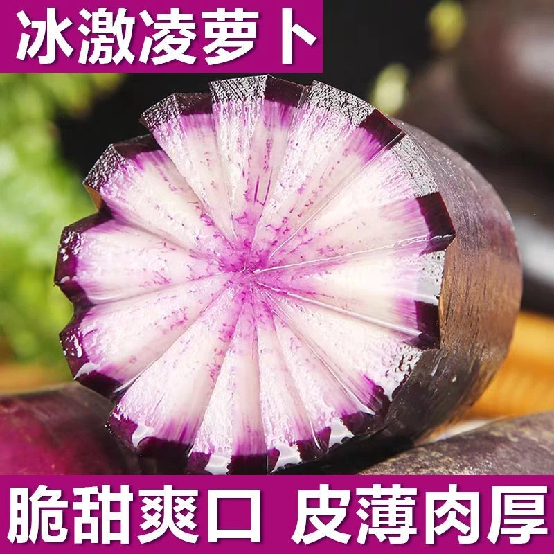 山东潍坊冰淇淋水果萝卜冰糖心甜脆多汁新鲜现发产地直发