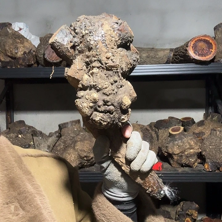 猎***跃香榧木火琉璃的故事是一个