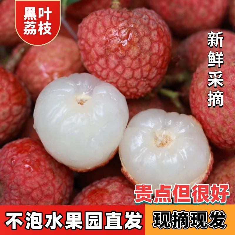 【京东/顺丰冷链空运直达】正宗广东岭南老树果黑叶荔枝新鲜水果