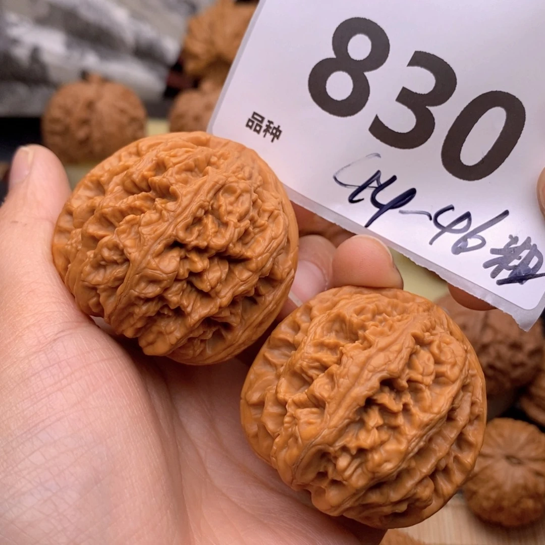 文玩核桃把件830号44粗筋