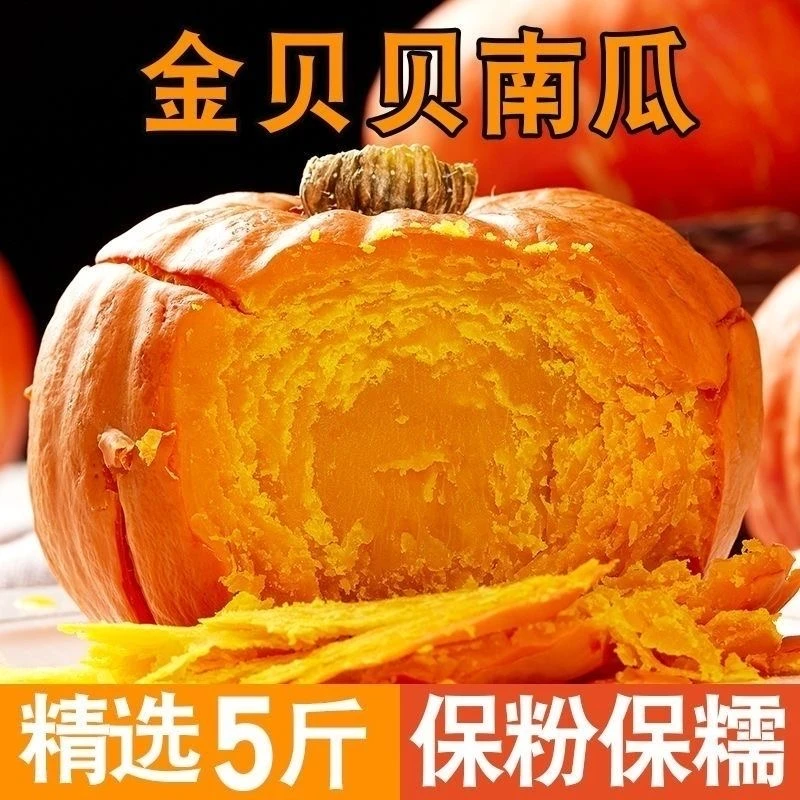 金贝贝南瓜5斤金小贝板栗小南瓜老瓜粉糯香甜红贝贝山东栗面