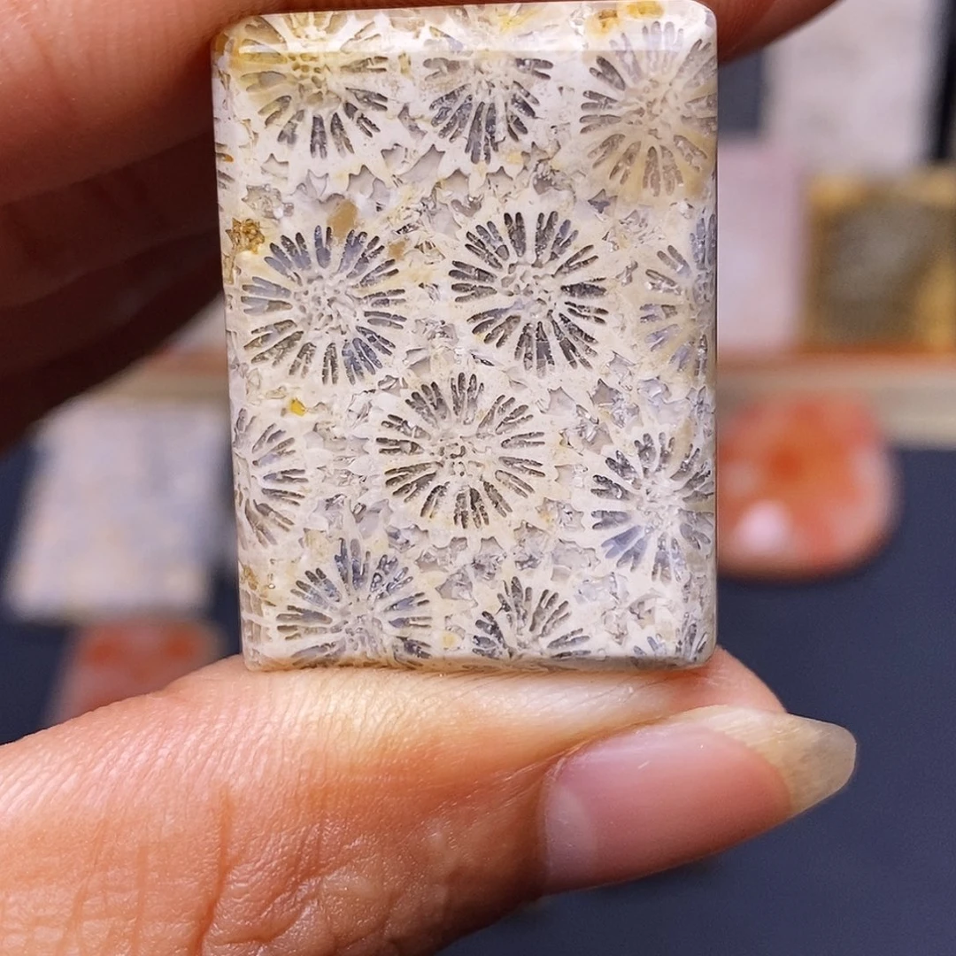 斐***硅化玉珊瑚玉合金