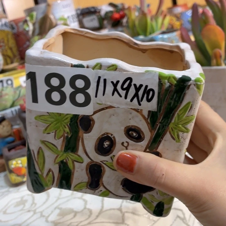 多肉花盆满15包邮