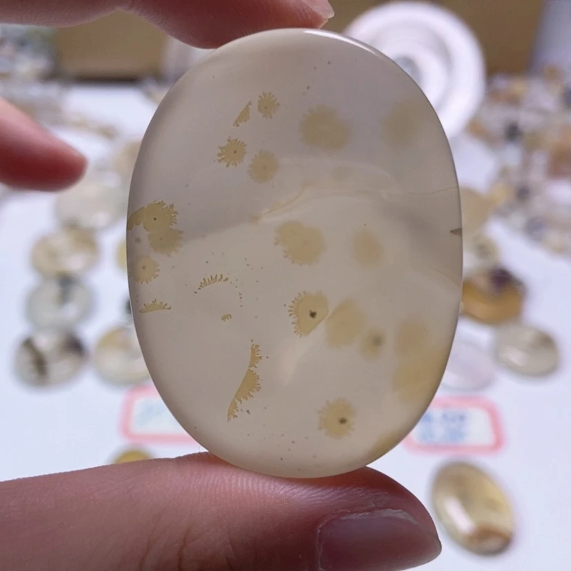 【闪购商品】玛瑙/玉髓颈饰未镶嵌