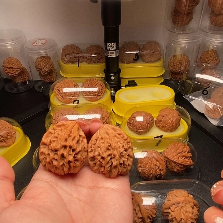 43把把赢  龙门涧