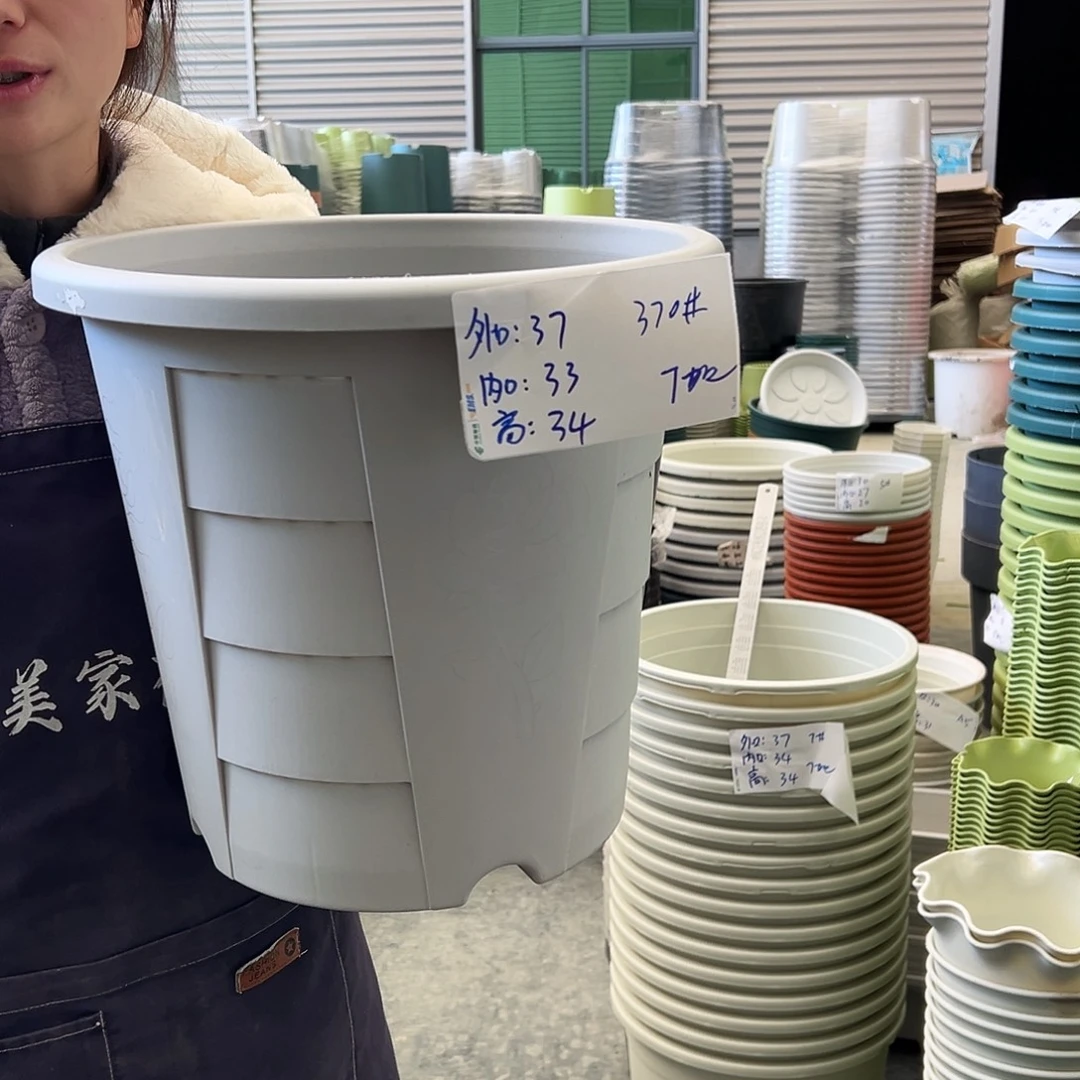 玫瑰盆370#灰白4个无托