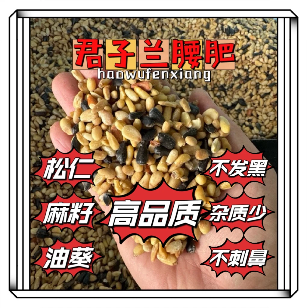 君子兰用俗称腰肥植物用高油脂松仁麻籽油葵增速快物植物都能用