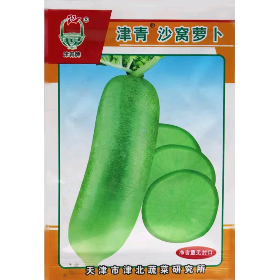 优籽农科种业津青沙窝萝卜种子籽青萝卜水果萝卜蔬菜种子籽脆甜