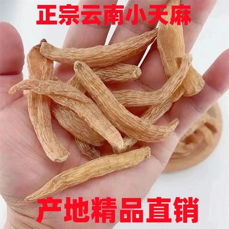 云南野外精选小天麻深山林下正宗干货11条（30克）
