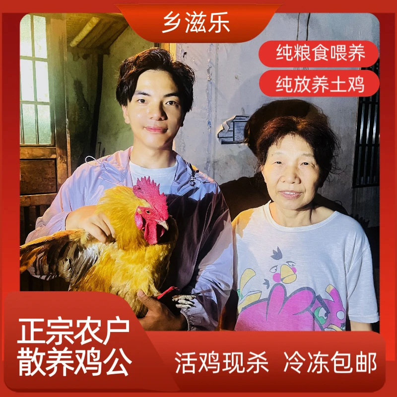 【农家土鸡】农户散养土鸡1年半老鸡公五爪鸡