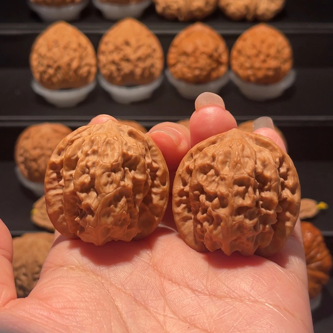 全品，精品，37野狼095