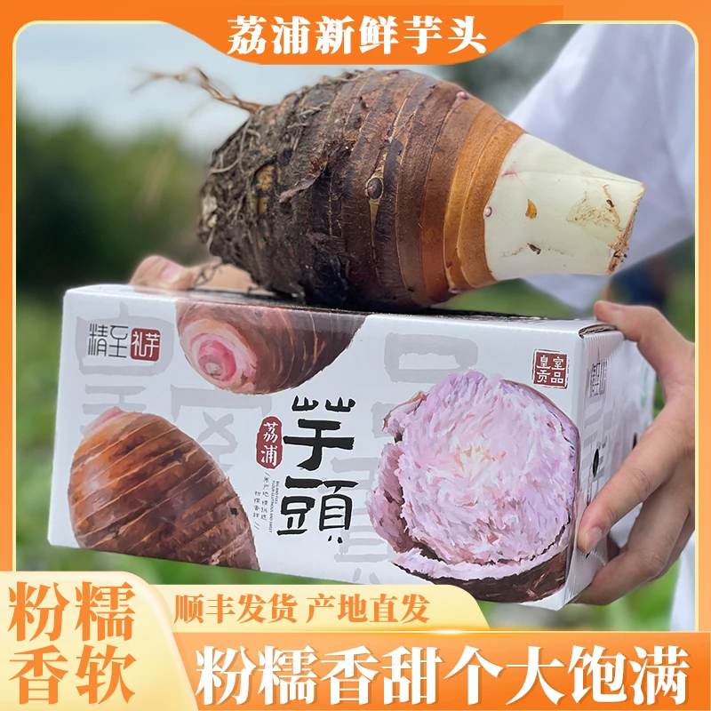 【顺丰发货】新鲜广西正宗荔浦芋头粉香糯皮薄粉嫩现挖现发精品商品图