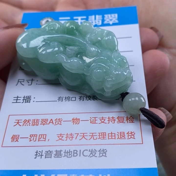 翡翠未镶嵌颈饰多人貔貅
