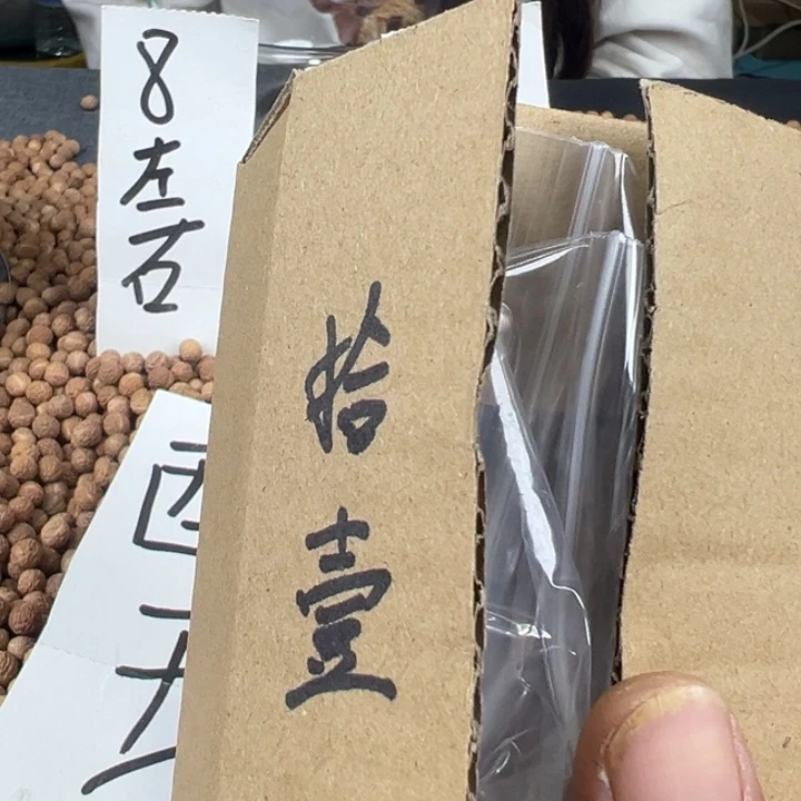 拾***壹凤眼菩提吊坠文玩酸枣核