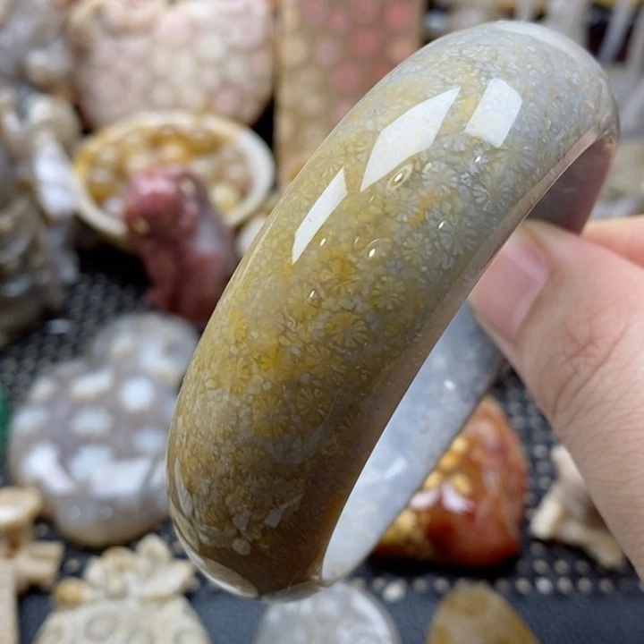 硅化珊瑚（珊瑚玉）颈饰未镶嵌58