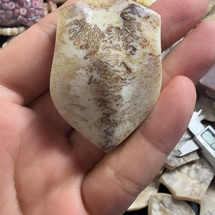 花岗石铁合金养殖鹿头骨制作三界牌