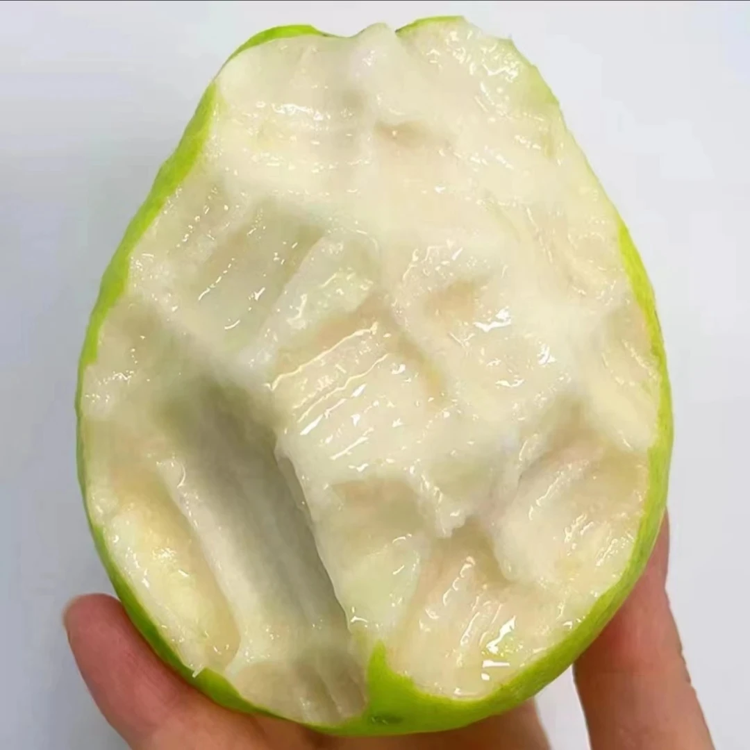 原产地白心芭乐奶油冰淇淋番石榴自家果园现摘现发