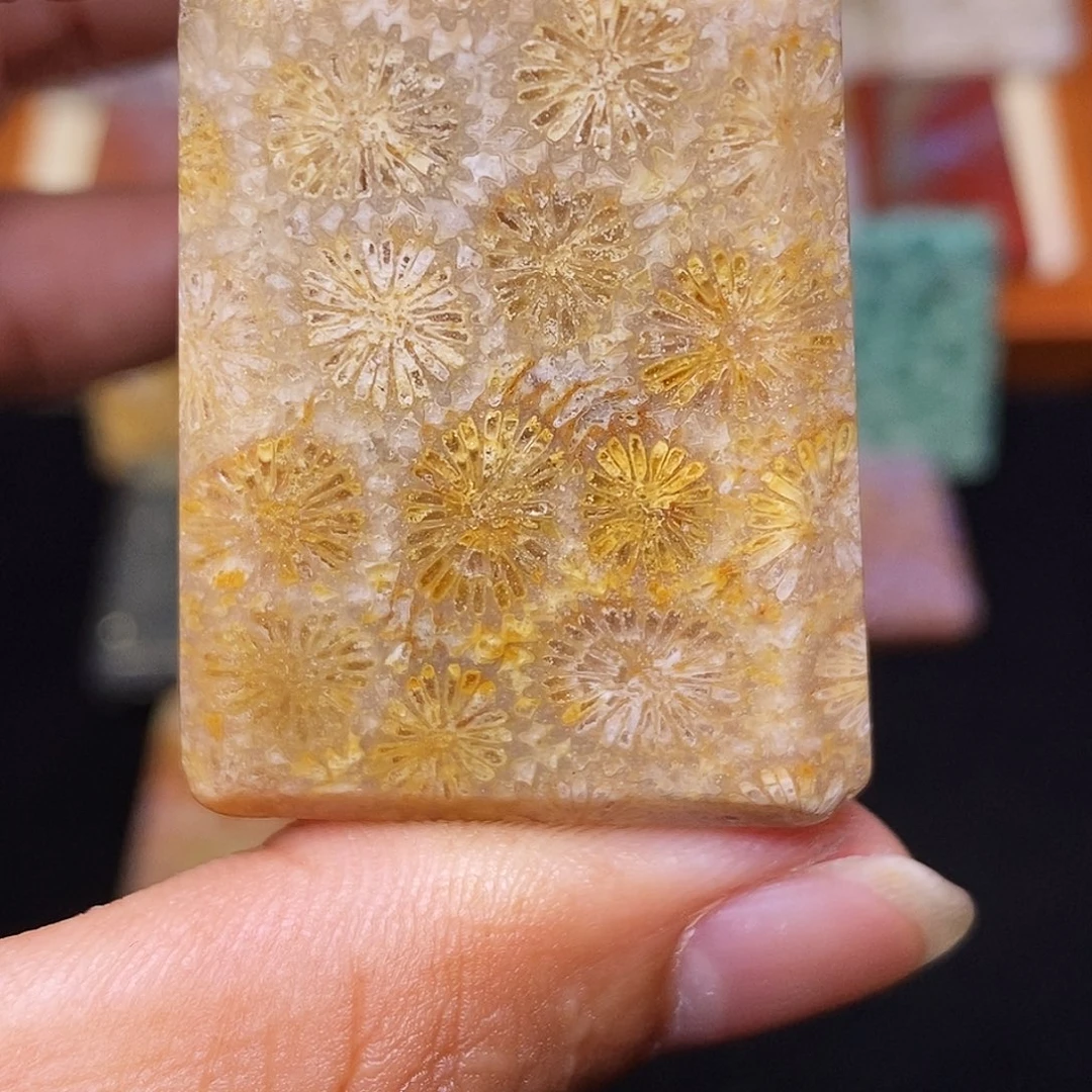 虞***郁硅化玉合金珊瑚玉