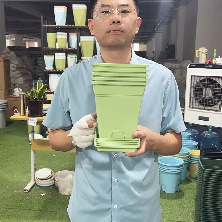 正品方盆口16高18果绿5只带托