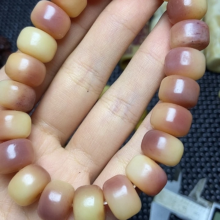 其他驼骨其他配饰