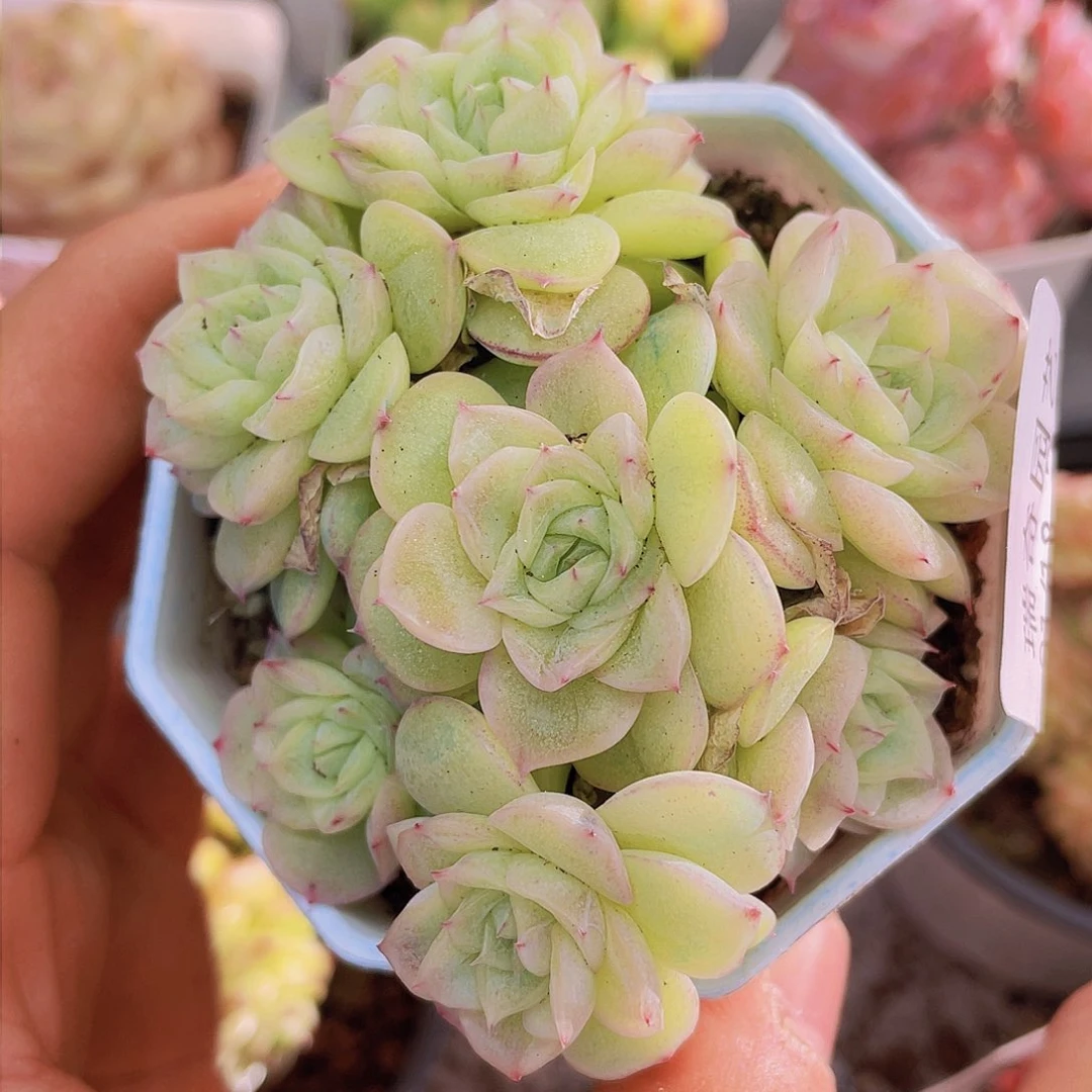 000000000000023量拍