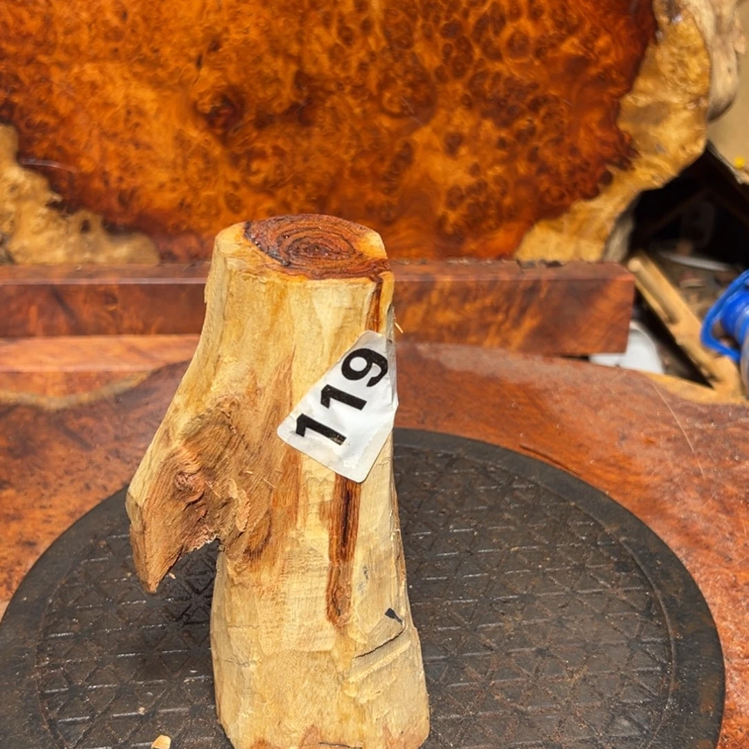 白***葵大果紫檀（缅甸花梨）