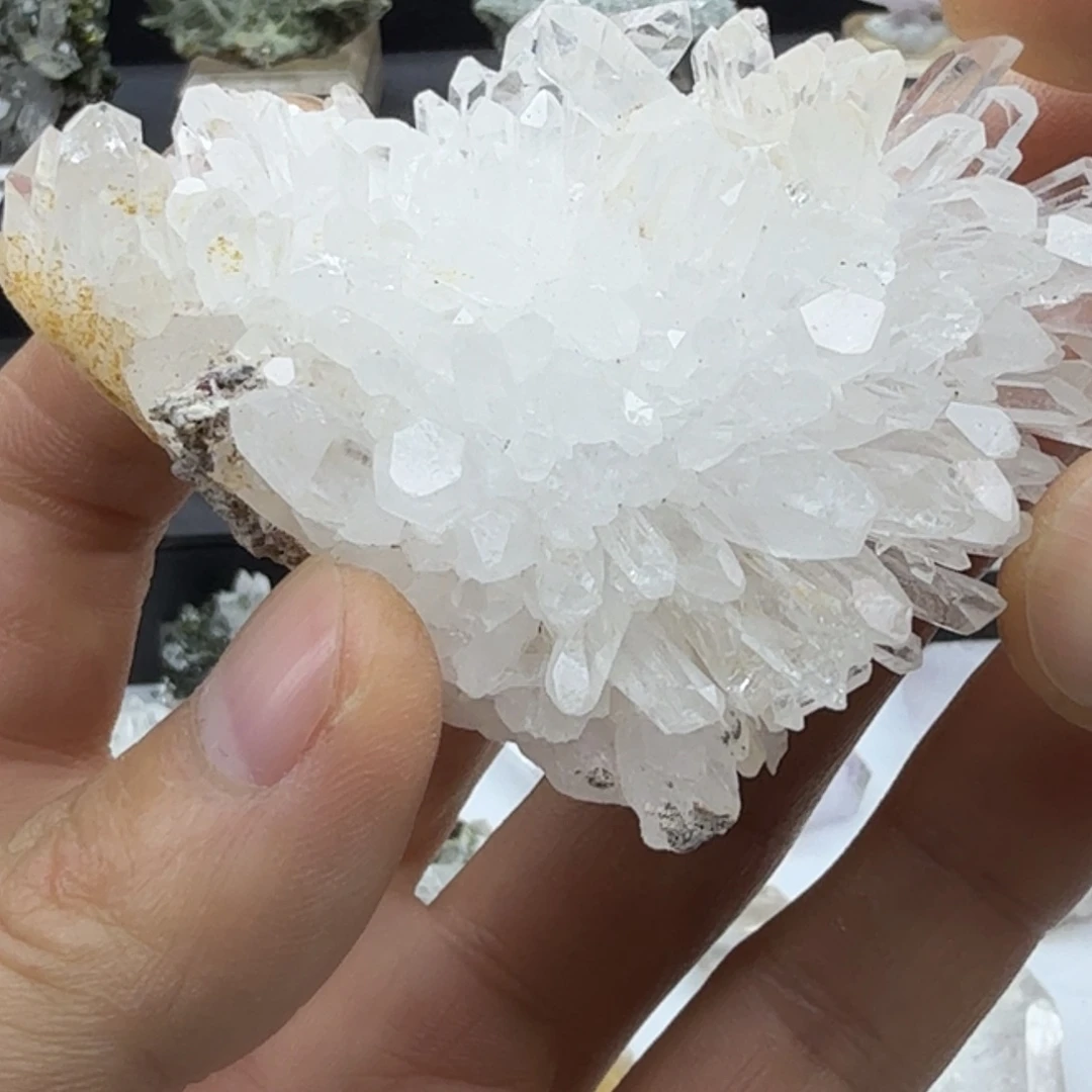 石材金口河菊花晶