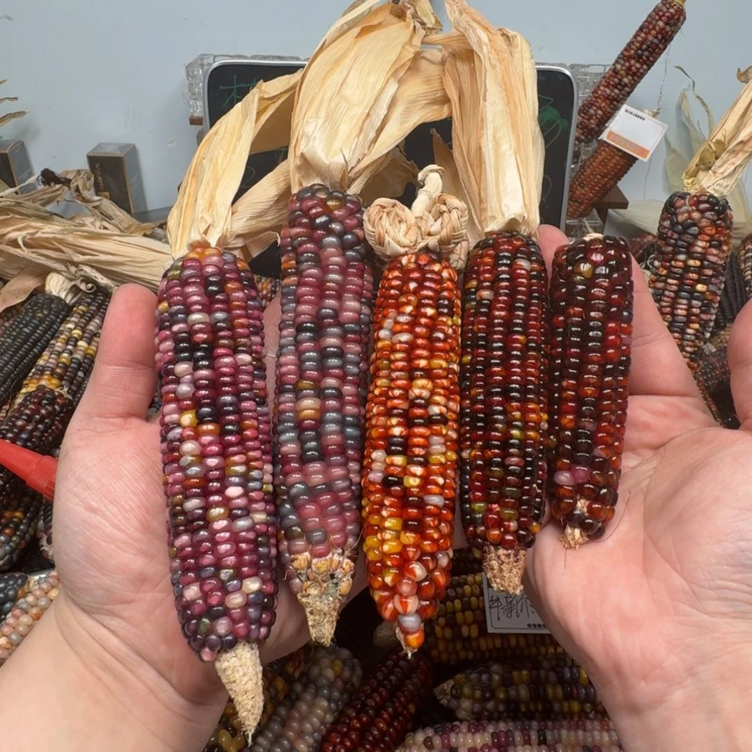 柏香籽/百香籽吊坠丫*～